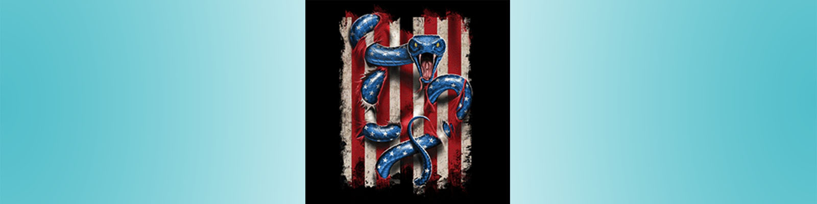 T-shirts America Category Picture