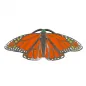 Preview: Guertelschnalle Schmetterling
