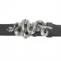 Preview: Buckle Snake