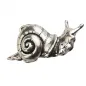 Preview: Design Gürtelschnalle Schnecke 3D versilbert - Made in Italy - vorne