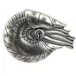 Preview: Design Belt Buckle Nautilus | Umjubelt