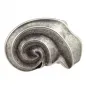 Preview: Design Belt Buckle Hawaii silver from Umjubelt
