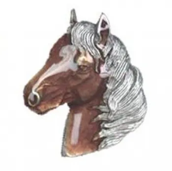 Bolotie Horsehead