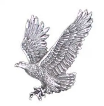 Bolotie Fliegender Adler