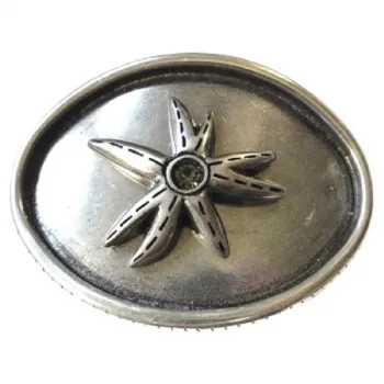 Belt Buckle Seastar