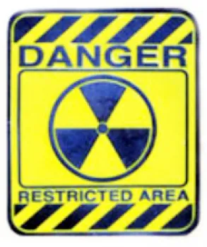 Gürtelschnalle Danger