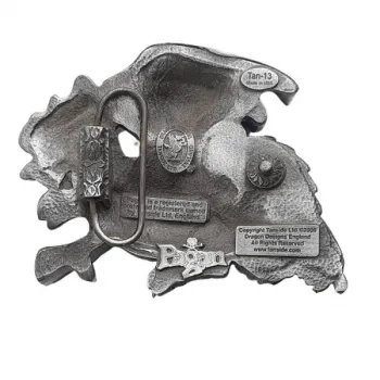Belt Buckle Dragon Back