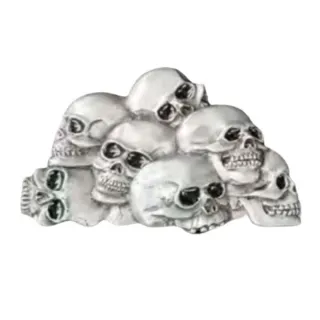 Belt Buckle Skull Collection
