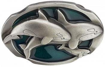 Buckle Dolphins