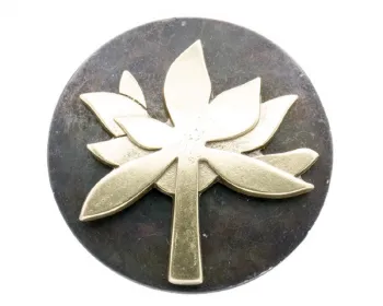 Design Belt Buckle Golden Lotus | Umjubelt