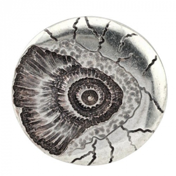Preview: Design Belt Buckle Ammonite silver from Umjubelt, nickel-free, top fashion style, unisex, for belts up to 4 cm wide