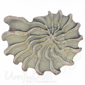 Design Belt Buckle Fantasy Shell silver cream from Umjubelt