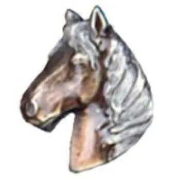 Pin Horsehead