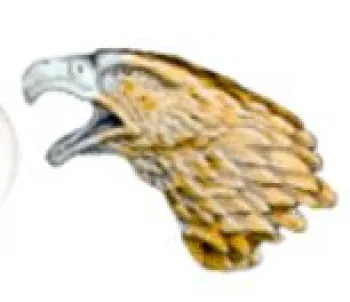 Pin Eaglehead