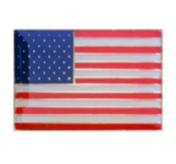 Pin US Flag