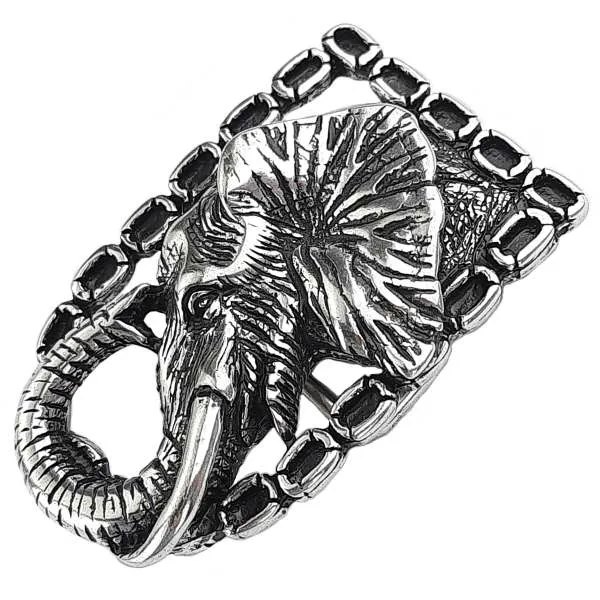 Buckle