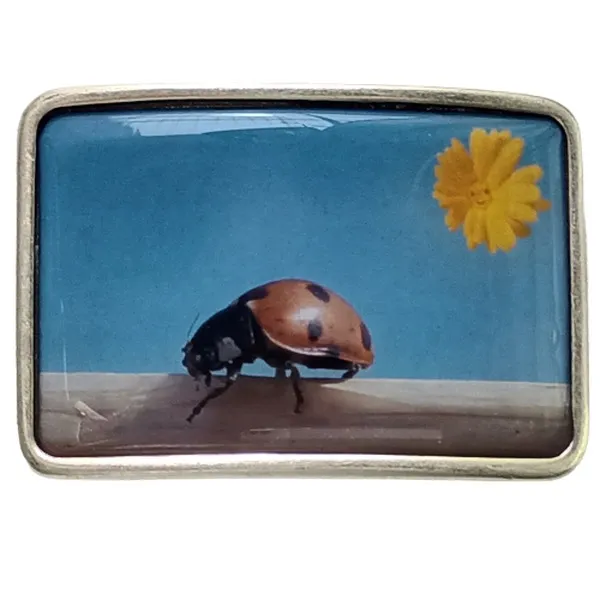 Custom Belt Buckle with Photo or Picture Ladybug