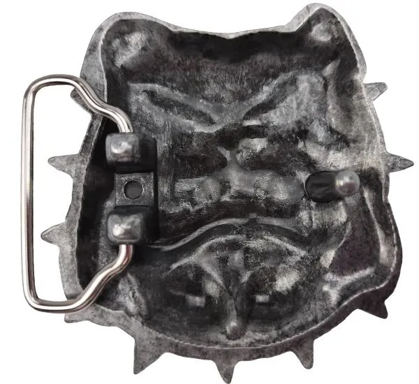 Buckle Bulldog back