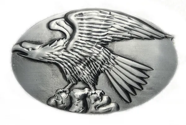 Belt Buckle Eagle on Rock
