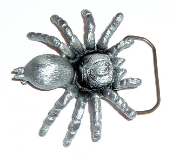 Buckle Tarantula