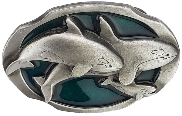 Buckle Dolphins