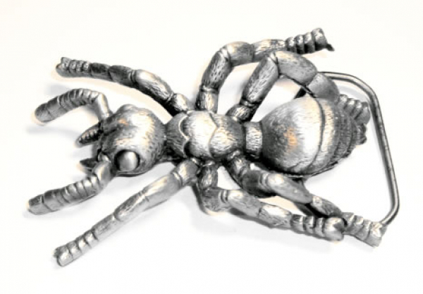 Buckle Ant