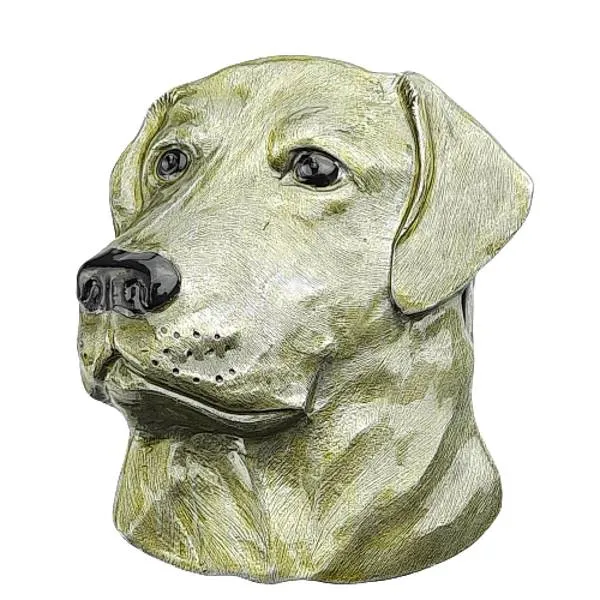 Buckle Lab