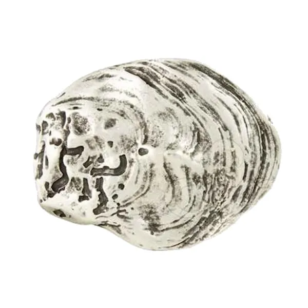 Design Belt Buckle Oyster Shell from Umjubelt