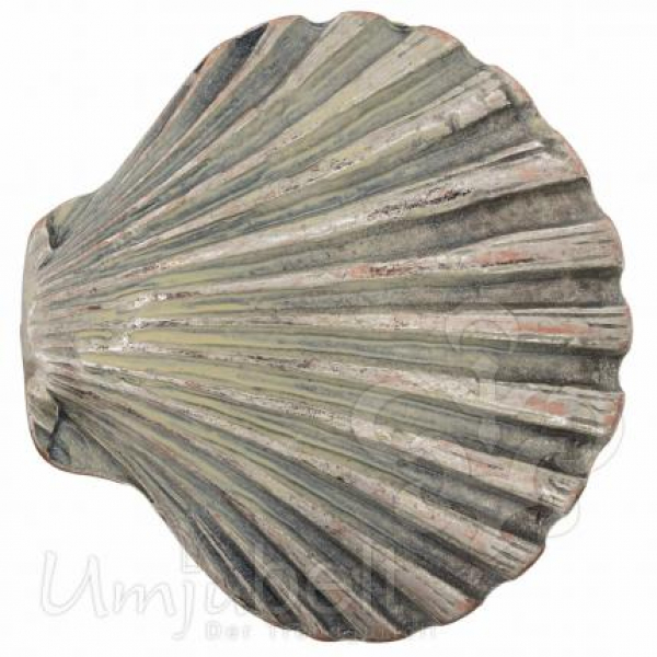 Design Gürtelschnalle Muschel groß silber creme von Umjubelt