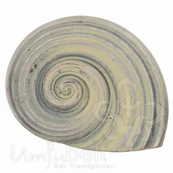 Design Belt Buckle Shell swirl silver cream from Umjubelt