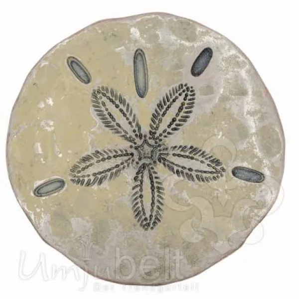 Design Gürtelschnalle Sanddollar silber creme von Umjubelt