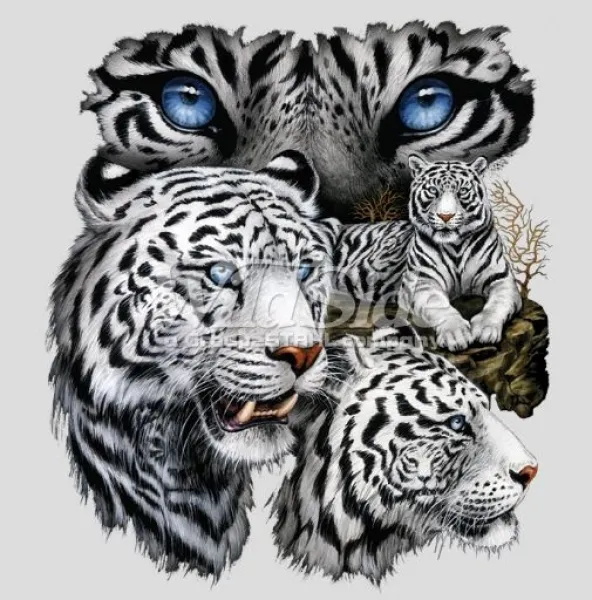 T-Shirt White Tiger Solartrans