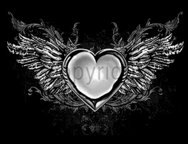 T-Shirt Heart & Wings