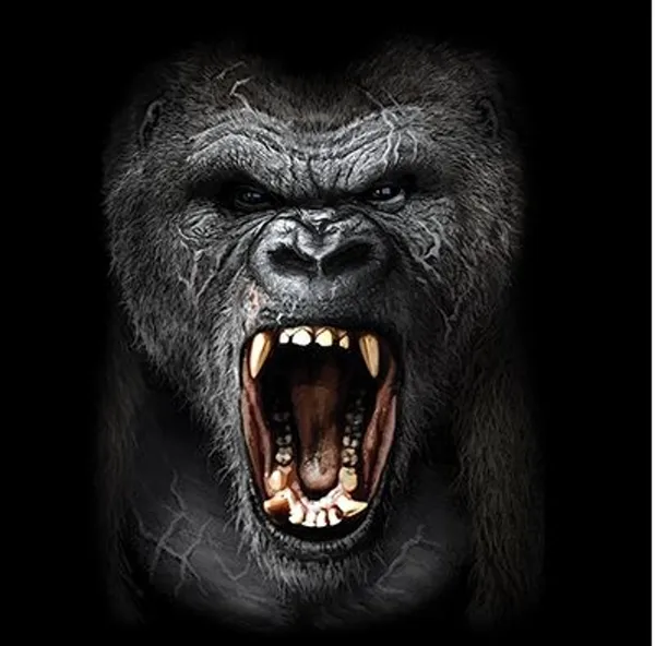 T-Shirt Gorilla T-Shirt Gorilla