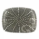 Design Gürtelschnalle Seeigel von Imjubelt