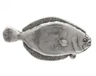 Design Gürtelschnalle Flunder von Umjubelt, Fashion Style, unisex, nickelfrei, Fisch, silber, für Gürtel bis 4 cm Breite