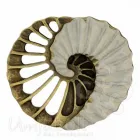 Design Belt Buckle Lexa gold cream from Umjubelt