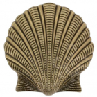 Design Belt Buckle Oyster in gold by Umjubelt