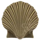 Design Gürtelschnalle Oyster in Gold von Umjubelt